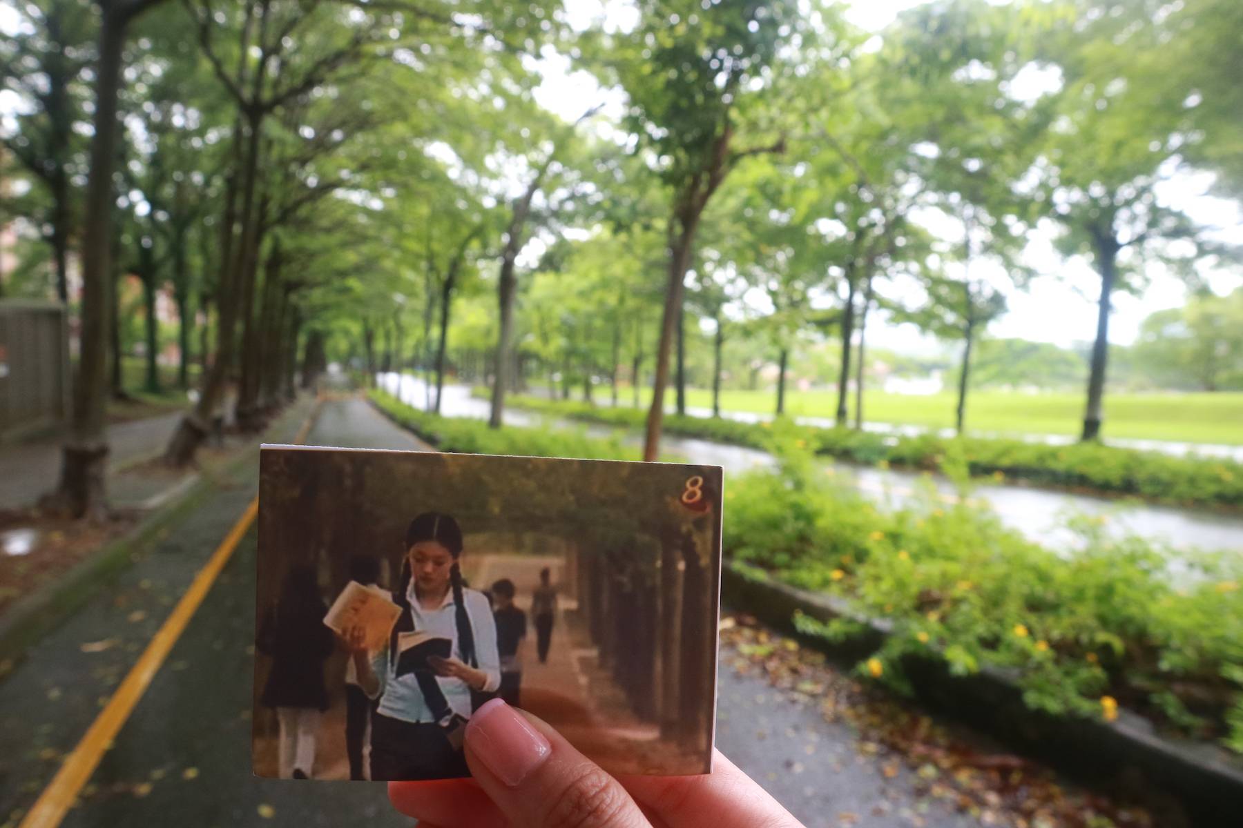 [Chiayi, Taiwan] Meteor Garden Sightseeing Tour MyProGuide Tour